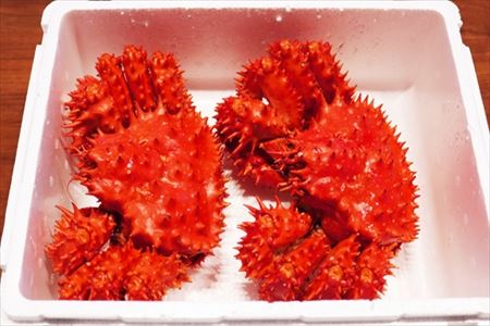 【北海道根室産】花咲がに750～850g×2尾 F-32005