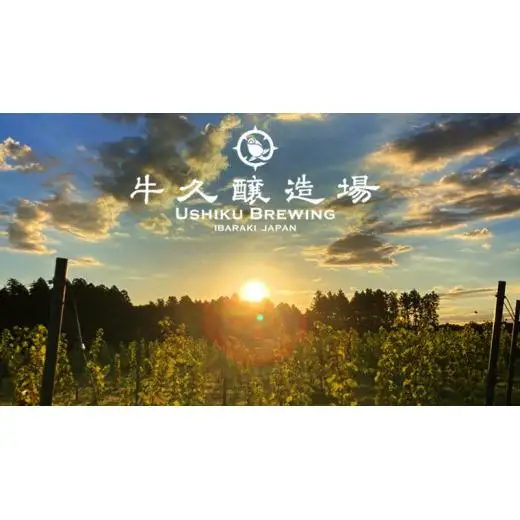 2年連続！《 ジャパン・グレートビア・アワーズ 受賞 》 クラフトビール 2種 計 6本 セット