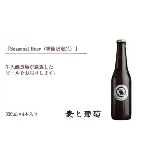 2年連続！《 ジャパン・グレートビア・アワーズ 受賞 》クラフトビール 3種 計 12本 セット