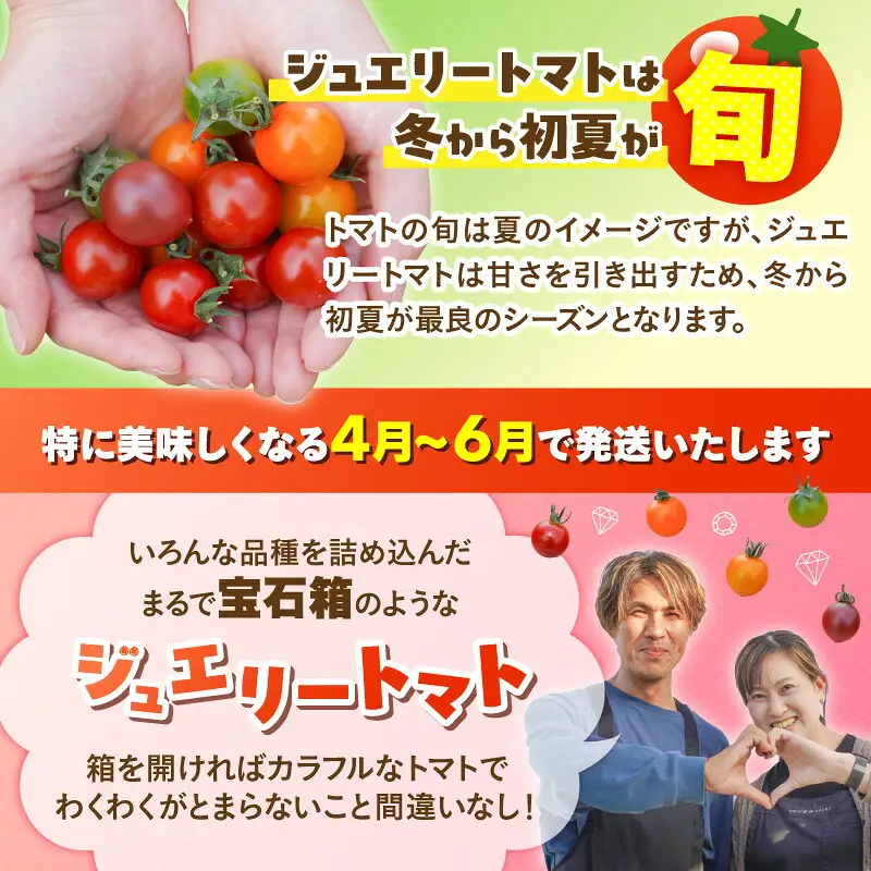 【2027年発送】【お試し】まるでトマトの宝石箱！フルーツジュエリートマト 約800g 長田農園 産地直送 トマト とまと 野菜 やさい フルーツ サラダ 濃厚 甘い ご褒美 プレゼント 美容 健康 リピート多数 人気 高評価 先行受付 数量限定 碧南市 H004-178