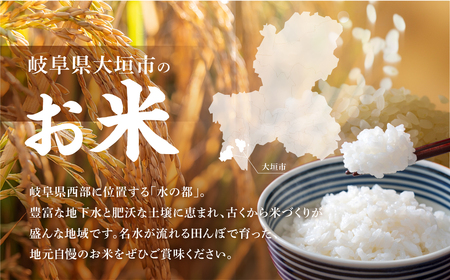 【令和7年度産】精米 ハツシモ 10kg｜ハツシモ