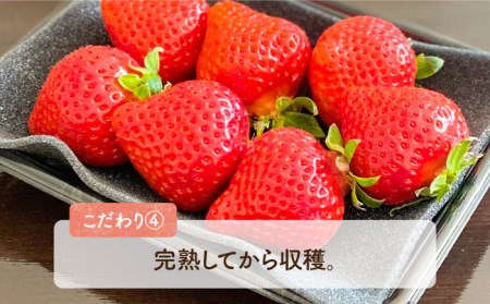 【2023年1月中旬より順次発送】はちみつ屋さんの 糸島産 あまおう（270g×2パック） 糸島市 / ヴァンベールフーズ [AFJ004]