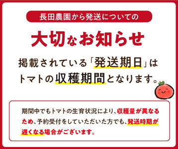 【4月～6月の定期便】たっぷり約2kg×3回！ 人気No.1トマトベリーの定期便 野菜ソムリエサミット 金賞 受賞 長田農園 産地直送 トマト とまと 野菜 やさい フルーツ サラダ 濃厚 甘い ご褒美 プレゼント 美容 健康 リピート多数 人気 高評価 数量限定 碧南市 H004-186