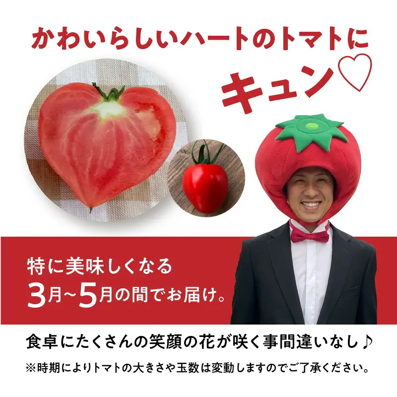 【2027年発送】【人気No.1セット】ファンにならずにいられない ファーストトマト＆トマトベリー 計1.4kｇ（3月～5月で発送） H004-197