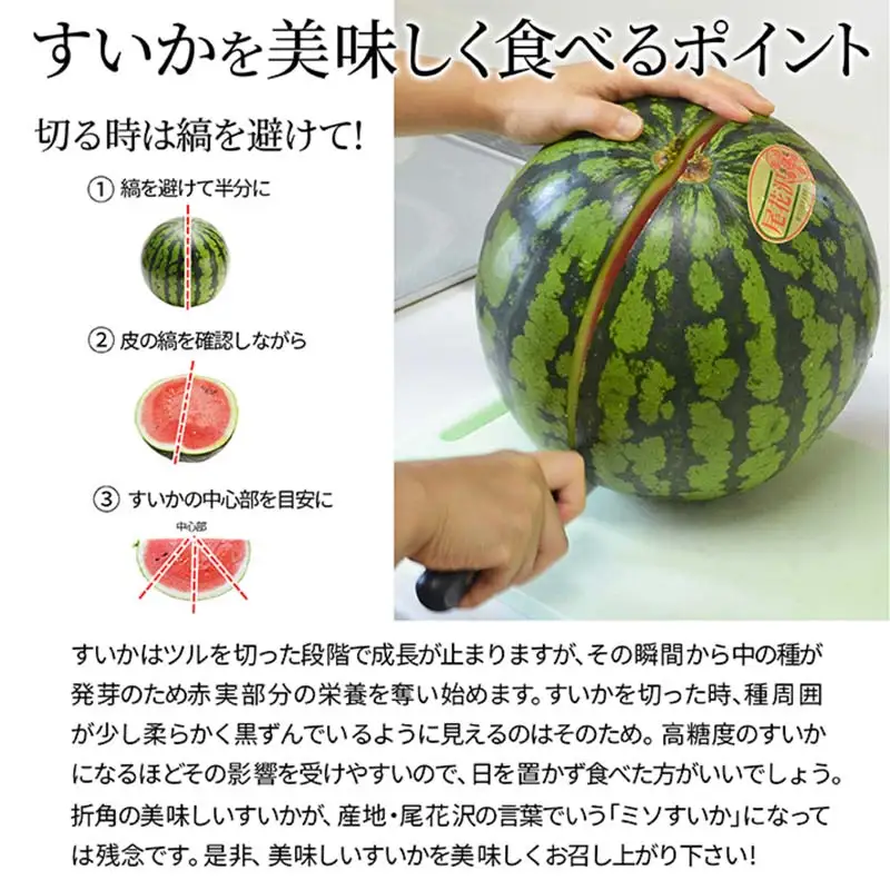 《先行予約 2026年7月中旬～8月上旬発送》山形県産 すいか 秀品 1玉 （9～10kg前後） スイカ すいか 西瓜 デザート フルーツ 果物 くだもの 果実 食品 山形県 FSY-2394