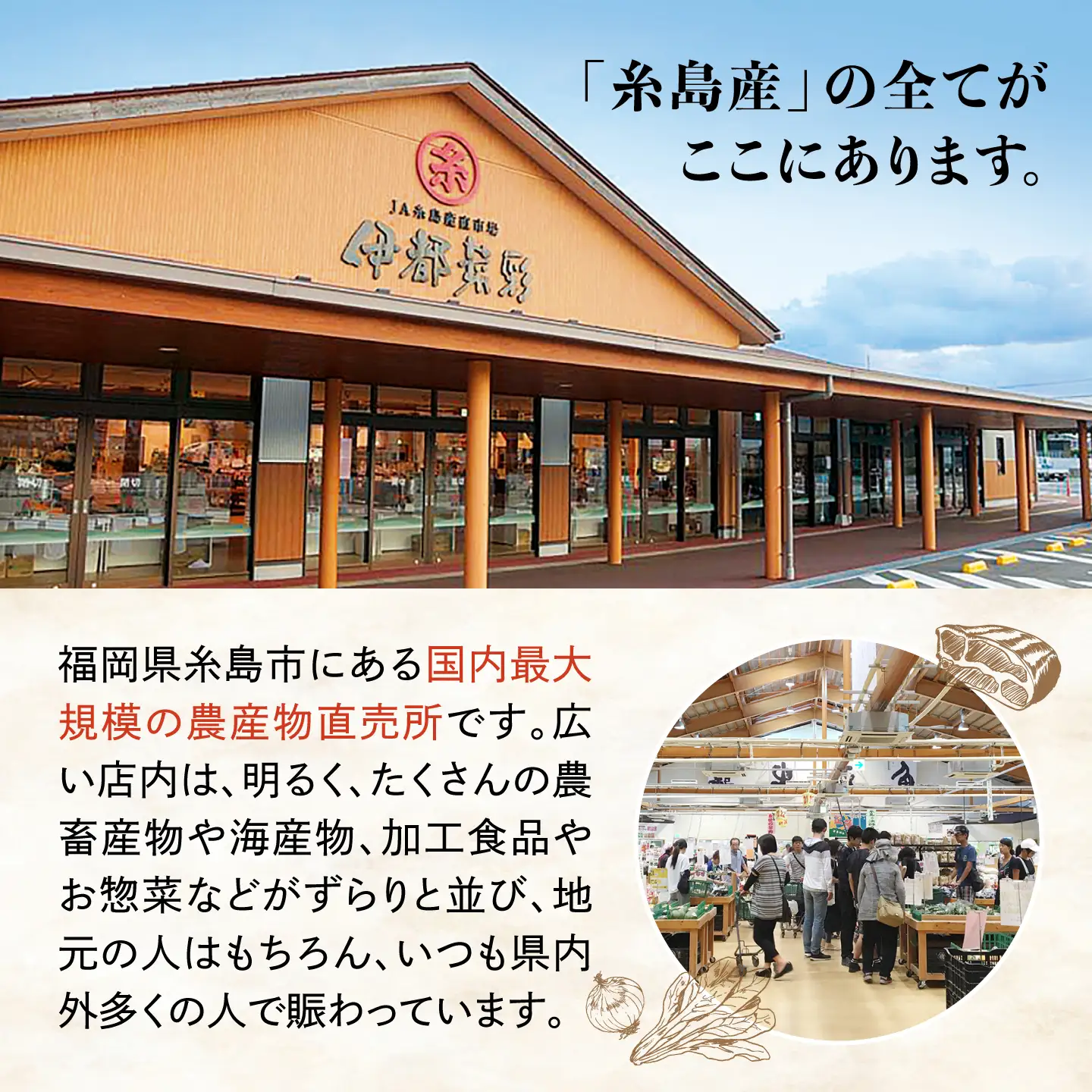 【限定30セット】伊都菜彩 プレミアム 定期便 ( 2人前 ) 糸島の山の幸、海の幸が詰まったバイヤーオススメの年間定期便 糸島市 / JA糸島産直市場 伊都菜彩 [AED011]