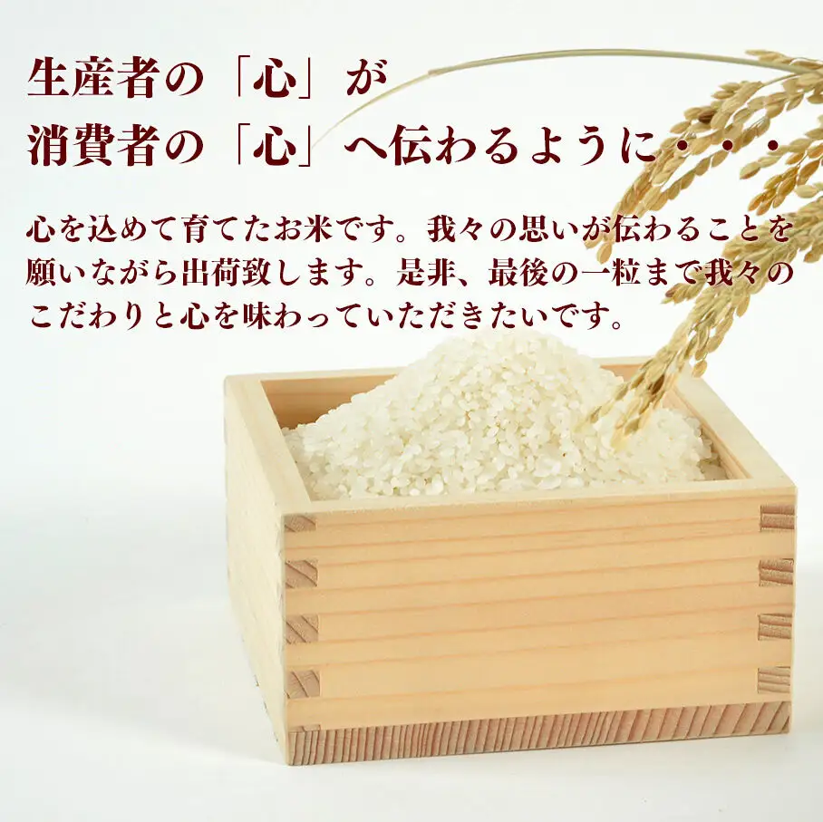 【2026年10月以降順次発送 先行受付】【配れるギフト・小分け15袋】つや姫（30合）令和8年産 2合ずつの小分け真空パックで長期保存可能！ 美食農園ラ・ファータ自慢のお米