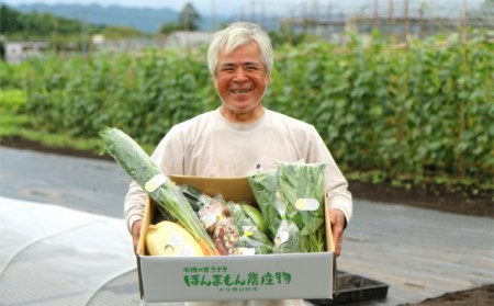 化学合成農薬等不使用で栽培！安心安全な「ほんまもん野菜」を8品目お届け♪　新鮮　旬の野菜　詰め合わせ