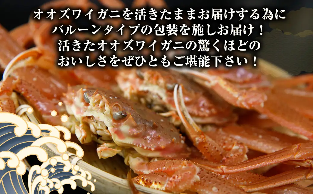 【令和8年先行受付】【訳あり】 北海道 豊浦 噴火湾 オオズワイガニ 約1.5～2kg（4～6尾） 数量限定