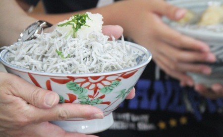 土佐名産 釜揚げしらす 合計2kg（約250g×8）- シラス じゃこ ちりめん ご飯のお供 食事 丼 おつまみ 酒の肴 魚 ギフト 贈答 贈り物 高知県 香南市 冷凍 tk-0014