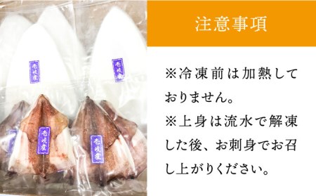 【お中元】イカ 刺身 一夜干し セット  [JCC009]  剣先イカ