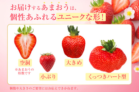 いちご 冷凍 完熟 あまおう 3.5kg いちご 【2027年発送先行受付】