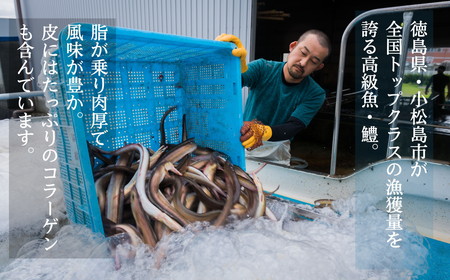 ハモ 切り身 定期便 偶数月 3回 1kg×3ヵ月 3kg 小松島産 鱧 ハモ