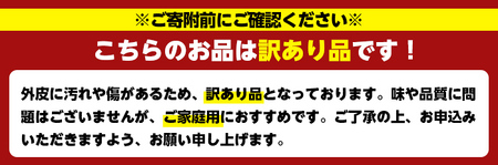 ＜先行予約受付中！2027年2月以降順次発送予定＞＜訳あり・不揃いの為＞数量限定！無加温ハウス不知火(5kg) 国産 鹿児島県 阿久根市 果実果物 フルーツ 柑橘 みかん ミカン 期間限定 数量限定【桐野柑橘株式会社】akn070-12