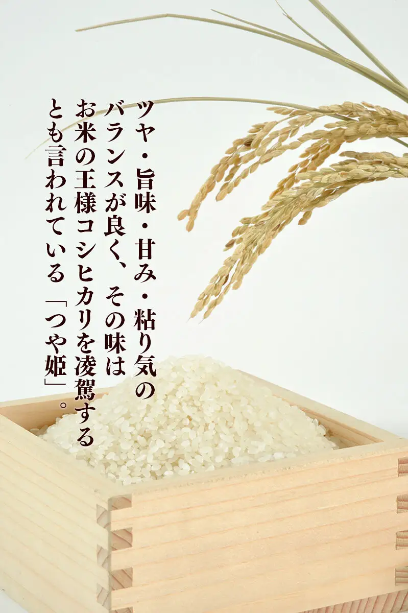 【2026年10月以降順次発送 先行受付】つや姫 8kg【白米】令和8年産 至極の一杯 こだわりのお米 オシャレな袋