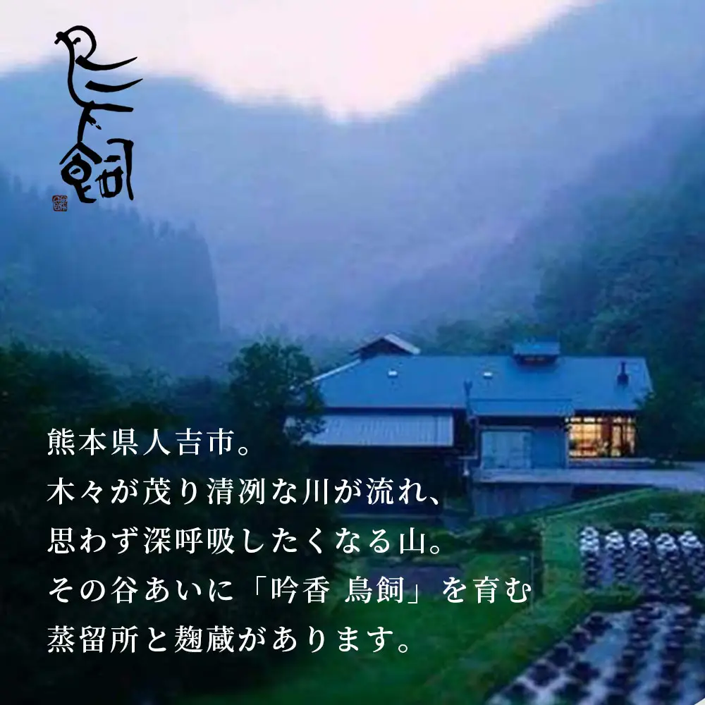 【米焼酎】吟香 鳥飼 25度 720ml 2本 セット 合計1440ml  084-0646