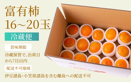 ＜非公開＞【先行予約】有機配合肥料使用 冷蔵富有柿 16玉から20玉 2025年12月中旬から2026年1月下旬 出荷予定【春光園】 柿 かき 甘柿 甘い 果物 フルーツ
