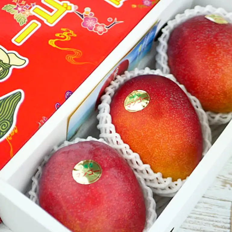 【 先行予約 2026年 発送 】 伊敷さん家の美味しい 完熟マンゴー 1kg ( ご家庭用 ) 沖縄県産 マンゴー アップルマンゴー アーウィンマンゴー 1キロ 国産 果物 くだもの フルーツ 完熟 夏 旬 沖縄 お取り寄せ 産地直送 農家直送 甘い 濃厚 糸満市 41-3