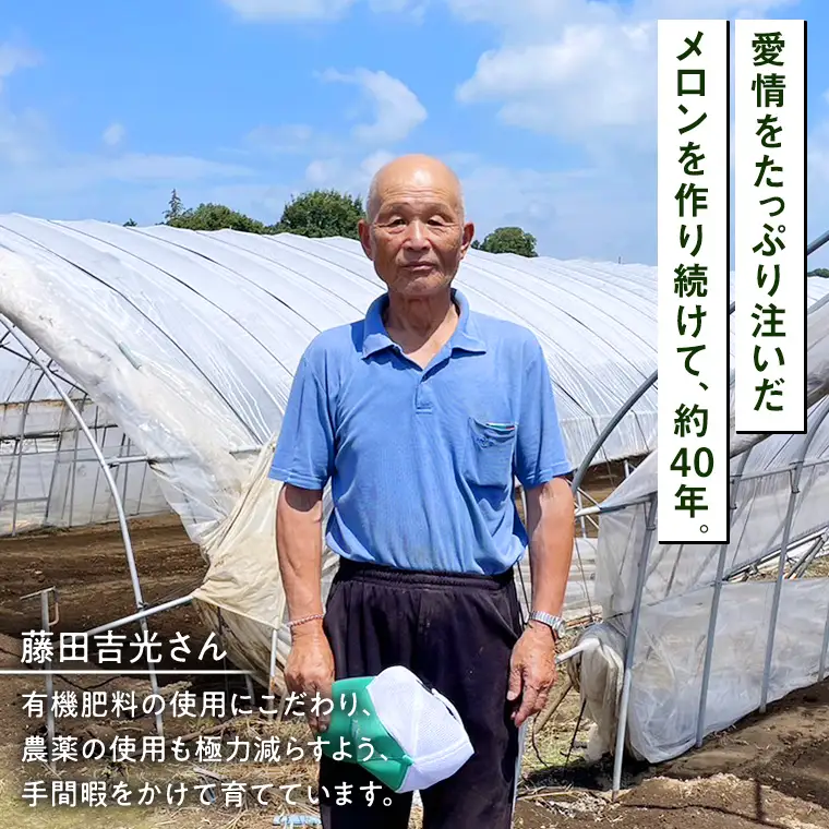《 2027年 収穫分 》 I.K メロン ( 赤肉 ) 2玉 糖度15度以上 先行予約 茨城県 桜川市 藤田吉光 国産 農家直送 高級 赤肉 完熟 アイケーメロン ブランドメロン デザート フルーツ 果物 くだもの 旬 甘い ご自宅用 ご家庭用 ギフト 贈答 プレゼント [CT001sa]
