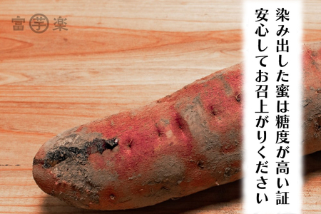【先行予約】 12月以降発送　さつまいも 熟成 紅はるか 芋 5kg _CE004