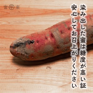 【先行予約】 12月以降発送 さつまいも 熟成 紅はるか 芋 10kg _CE005