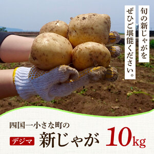 ★先行受付：2025年5月発送開始★大野台地で採れた 令和7年産新じゃがいも『デジマ』10kg 10キロ イモ ジャガイモ 芋 いも ポテト 野菜 おいしい ふっくら 旬 国産 お取り寄せ 送料無料