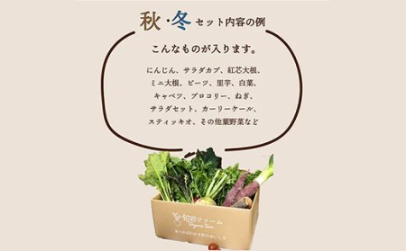 《有機JAS認証》オーガニック 季節のお野菜セット（小）定期便 12ヶ月連続 F21R-867