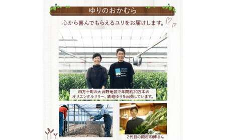 日頃の感謝を「花束」で、オリエンタルリリー【優品3本】／Osy-B13  誕生日 植物 フラワー プレゼント 花束 ゆり リリー お花