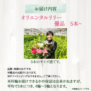 日頃の感謝を「花束」で、オリエンタルリリー【優品5本】 誕生日 植物 フラワー プレゼント 花束 ゆり リリー お花／Osy-A14