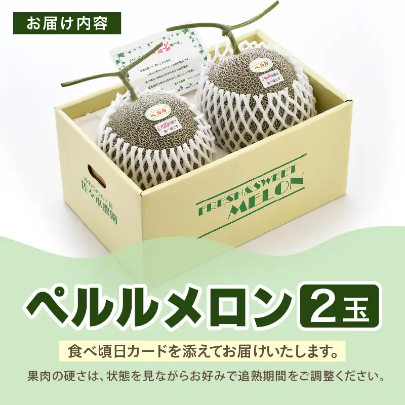 【先行予約】ペルルメロン 3L 2玉入（1.7kg以上×2玉）糖度16度以上！／ 1株1果 大玉 青肉 メロン 果物 フルーツ ギフト 農家直送 ※2027年6月下旬より順次発送 [aw045-a003]