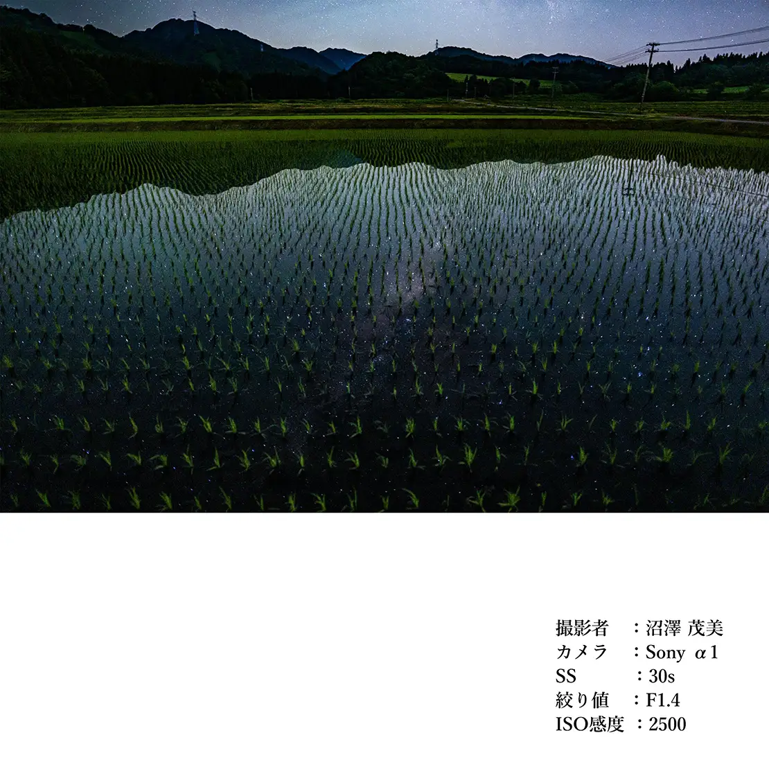 SIGMA 20mm F1.4 DG DN｜Art【ソニーEマウント】カメラ レンズ 家電