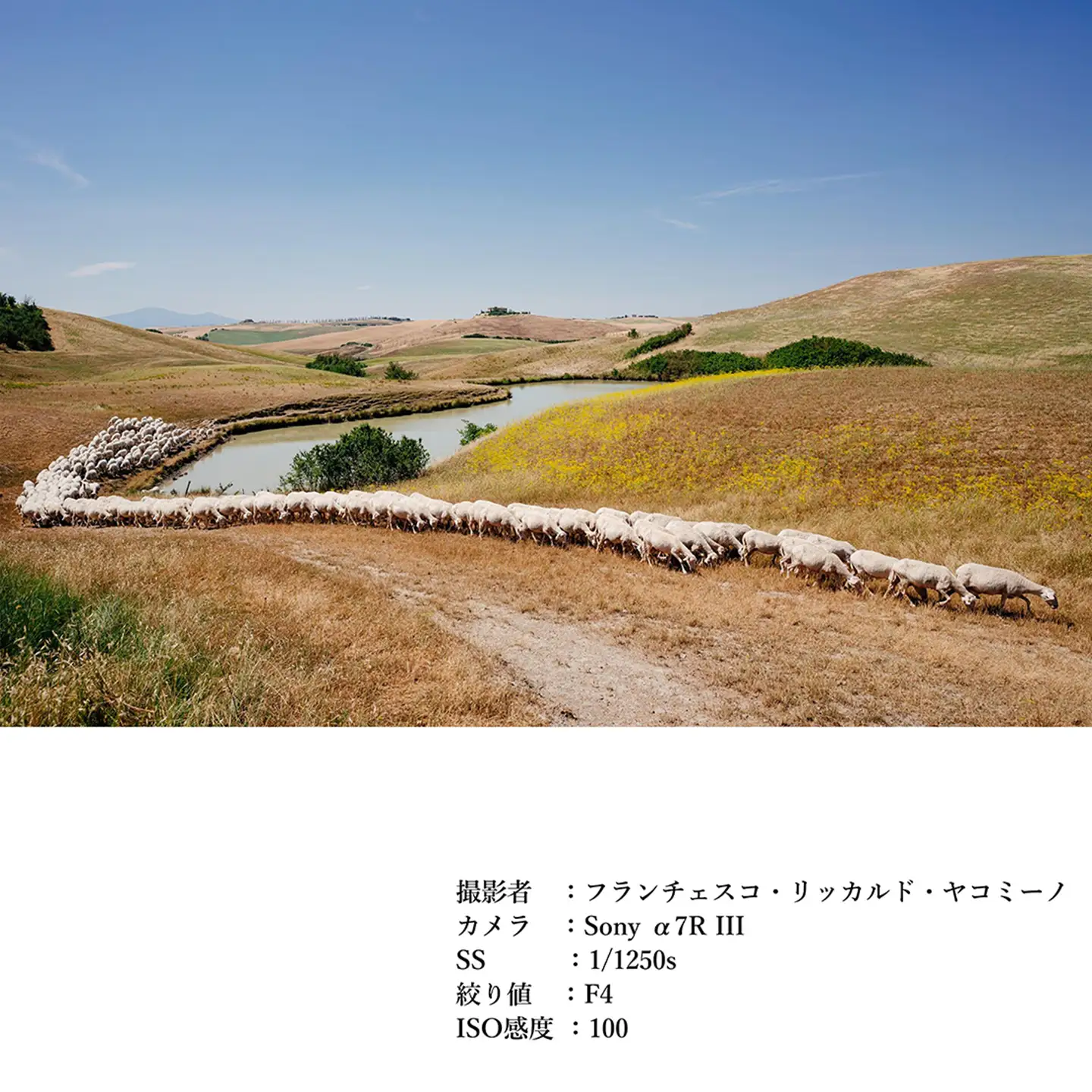 SIGMA 24mm F1.4 DG DN｜Art【ソニーEマウント】