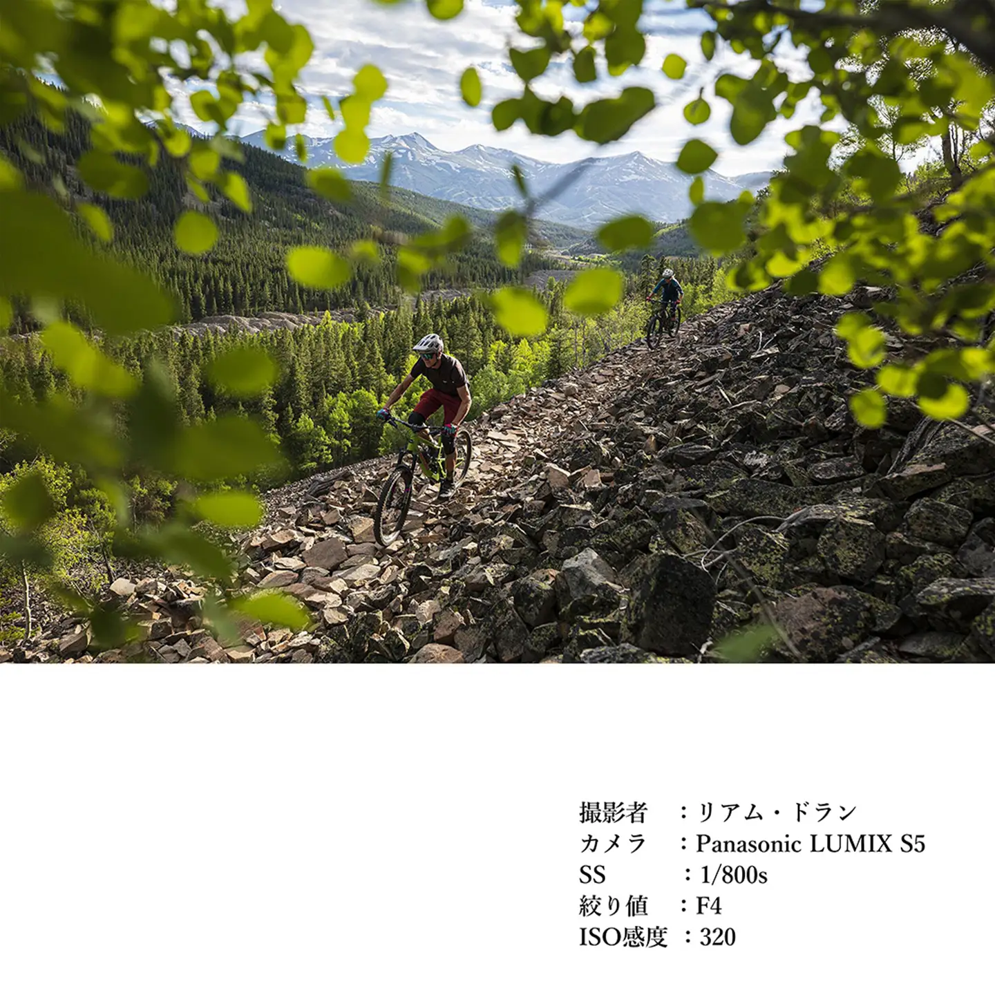 SIGMA 24mm F1.4 DG DN｜Art【Lマウント】