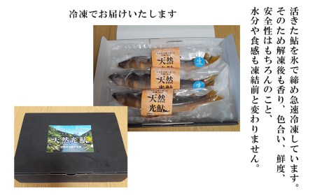 【数量限定】 宮崎県 美郷町 天然 鮎 約300g