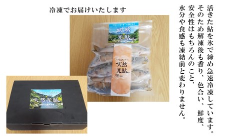 【数量限定】 天然 鮎 約500g