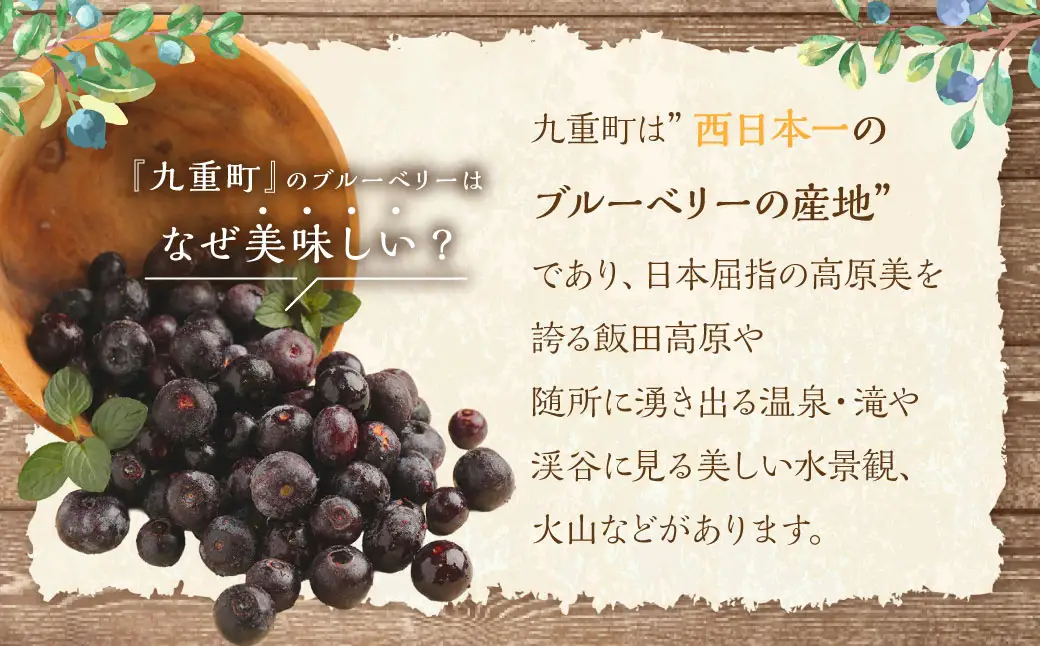 九重町産 冷凍 ブルーベリー 約1kg (1kg×1袋)  果物 フルーツ 冷凍フルーツ 冷凍果物 大分県 九重町産 