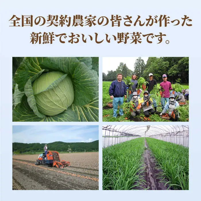 ぎょうざ12個×5パック リンガーハット 餃子 ギョウザ[FBI029]