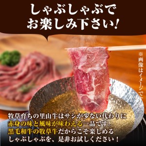 国産黒毛和牛 牧草育ちの里山牛 しゃぶしゃぶ用ロース 計800g(200g×4P) 黒毛和牛 和牛 肉 牛肉 国産 ロース しゃぶしゃぶ 赤身  c5-029