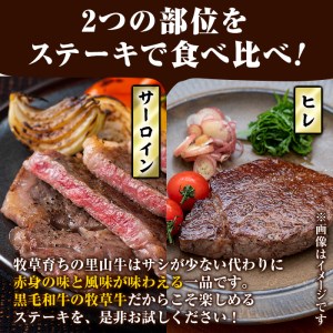 牧草育ちの里山牛 ステーキ食べ比べセット(ヒレ・サーロイン) 計540g b8-019