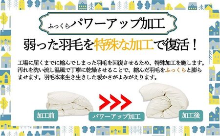 羽毛布団 掛け布団 シングル 北欧調 グレー 羽毛布団【ダウン90% 1.0kg】