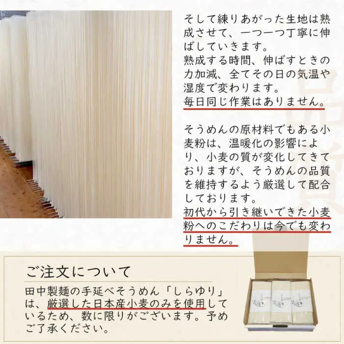 そうめん 国産小麦100% 島原手延べそうめん しらゆり 50g×60束 計3kg ノンオイル製法 / そうめん 島原 手延べ 素麺 麺 乾麺 保存食 非常食 / 贅沢宝庫 / 長崎県 南島原市 [SDZ026]