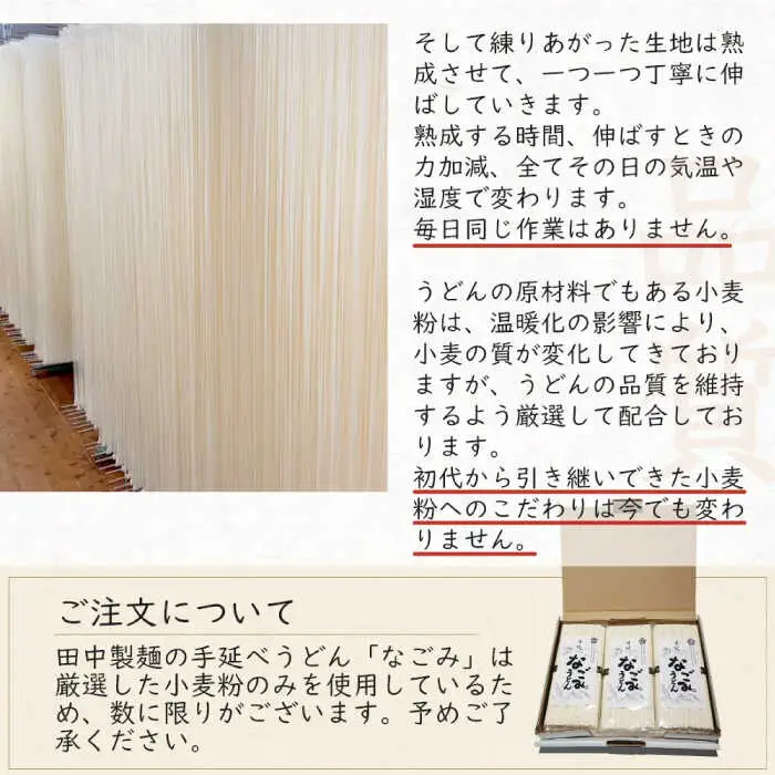 田中製麺 島原手延べうどん 「なごみ」 50g×60束 計3kg  / そうめん 島原 手延べ 素麺 麺 乾麺 細麺 上級品 / 南島原市 / 贅沢宝庫[SDZ027]