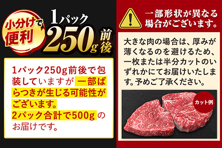 くまもと黒毛和牛 リブロースステーキ 500g ( 250g x 2枚 ) 牛肉 冷凍 《30日以内に出荷予定(土日祝除く)》 くまもと黒毛和牛 黒毛和牛 冷凍庫 個別 取分け 小分け 個包装 ステーキ肉 にも リブロースステーキ 美味しい牛肉 熊本牛肉 ジューシー牛肉 贅沢な牛肉 st-p