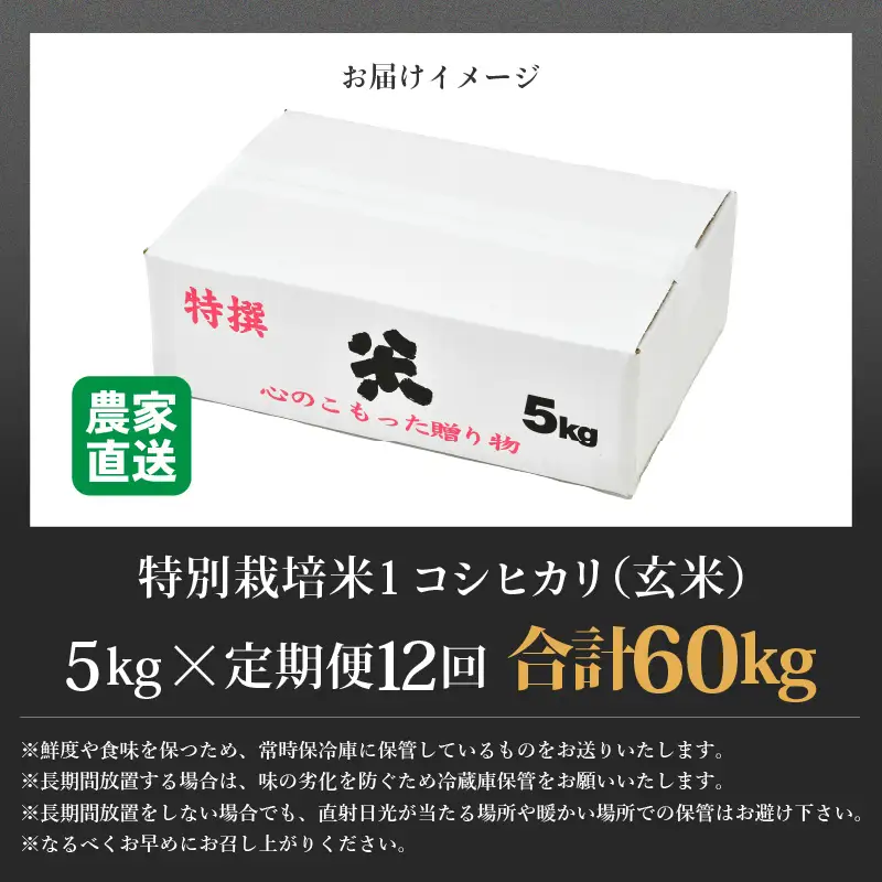 【先行予約】【令和8年産 新米】定期便《12ヶ月連続お届け》コシヒカリ 玄米 5kg （計60kg）特別栽培米 農薬不使用 化学肥料不使用 ／ 残留農薬ゼロ 高品質 鮮度抜群 福井県産 ブランド米 玄米 ※2026年10月上旬以降順次発送 [aw063-n004]