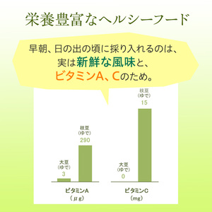 ずんだ餅 10個入り 萩の月で有名な菓匠三全 和菓子 枝豆 ずんだ茶寮 宮城