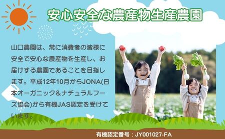 定期便 ３ヶ月 農家のたっぷり野菜カレー １０個 月１回 ／ふるさと納税 山口農園 有機野菜 オーガニック 伝統野菜 レトルト 詰め合わせ ギフト カレーセット スパイス 飯 キャンプお取り寄せ 奈良県 宇陀市 おかず ご当地 簡単 お歳暮 暑中見舞い 時短 保存食 