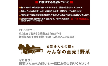 【定期便全4回】3ヶ月に1度お届け！岩沼みんなの家の「みんなの直売！野菜」セット詰め合わせ隔月4回 詰合せ 