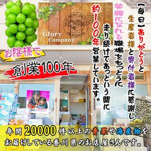 《2026年発送》特秀品シャインマスカット ( １房 約700g以上 ) ぶどう マスカット 香川県産