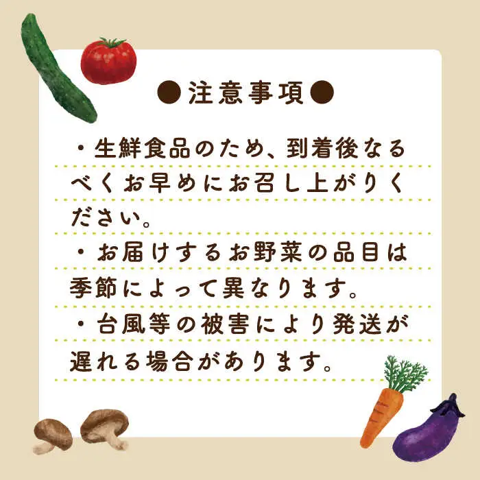 【3回定期便】地元農家さんが収穫した旬のお野菜 10種詰め合わせ / 野菜 旬 新鮮 採れたて 季節野菜 旬野菜 農家直送 野菜定期便 定期便 / 南島原市 / ミナサポ [SCW045]