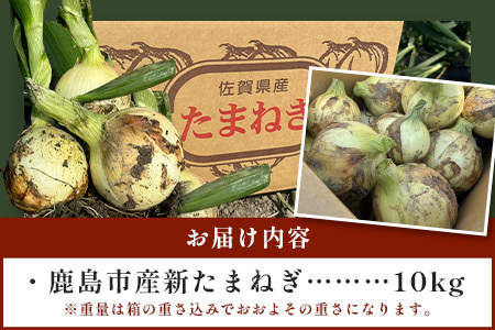 先行受付 2027年配送【生産者直送】鹿島産 新たまねぎ 約10kg サイズ混合【高評価4.8以上】AA-17